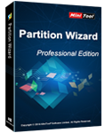 professional edition